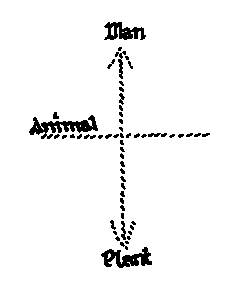 Diagram III
