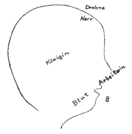 Diagram 8
